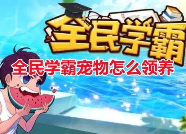 全民学霸宠物怎么领养呢？全民学霸宠物领养条件技巧分享！