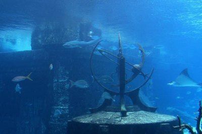 水族馆摆设(水族馆主题展览策划) 水族馆百科(水族馆加盟) 第2张