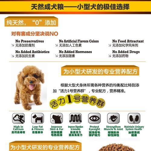 如何确定博美犬的合理饮食量？（掌握关键因素，科学喂养你的爱宠）