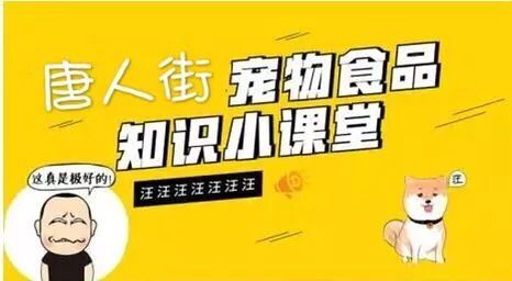 每日喂食量，宠物健康指南！