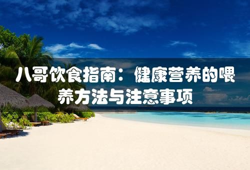 八哥饮食指南：健康营养的喂养方法与注意事项