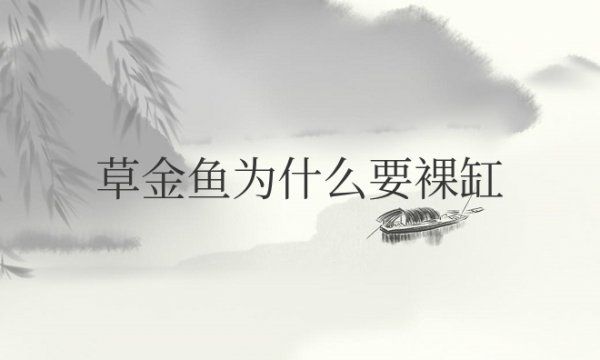 草金鱼为什么要裸缸