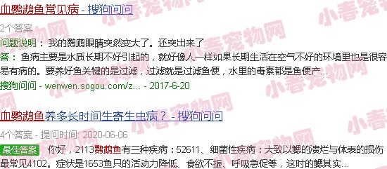血鹦鹉鱼常见病