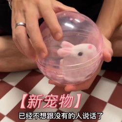 砚玺 儿童电动宠物小白兔子滚球仿真动物玩具仓鼠球3-6岁女孩生日礼物
