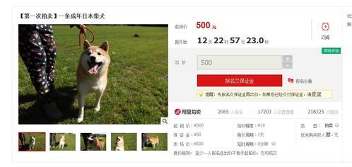 “养宠物，从寄养开始，小红书带你解锁宠物新生活！”