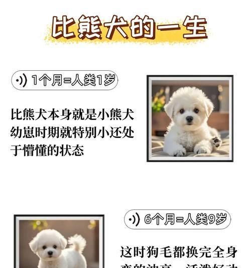 小比熊犬食用鹌鹑是否安全？