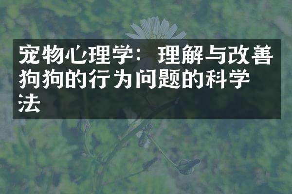 宠物心理学：理解与改善狗狗的行为问题的科学方法