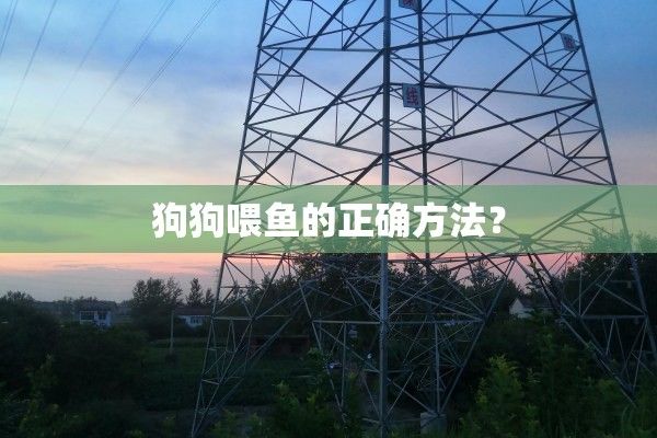 狗狗喂鱼的正确方法？