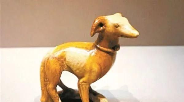 趣说撸狗：古人也爱养宠物，“铲屎官”真的是一种官？