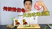 情侣龟日常：伺候吃喝拉撒，买了10块钱五花肉喂养，我太难了