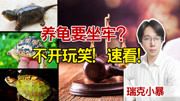 【养龟要坐牢？】请持证饲养，拒绝牢底坐穿兽！内附避雷神器
