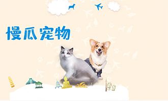 金毛狗掉毛用什么药