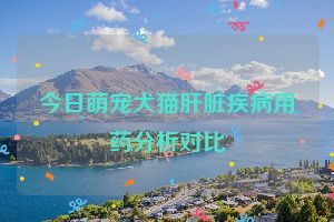 今日萌宠犬猫肝脏疾病用药分析对比