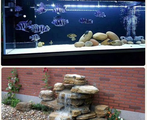 如何给鱼缸造景 简约：鱼缸怎么造景好看又简单 广州水族批发市场