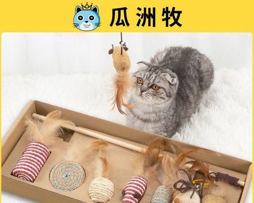 如何防止宠物猫咪咬自己的毛（养宠物猫咪不可忽视的细节与注意事项）