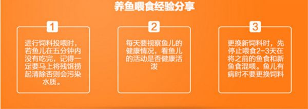 水族鱼缸五合一玻璃清洁工具套装 长柄清洁刷管刷除藻套装详情38