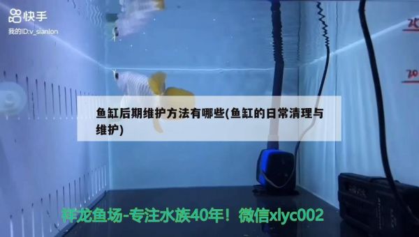 鱼缸后期维护方法有哪些(鱼缸的日常清理与维护) 龙鱼芯片扫码器