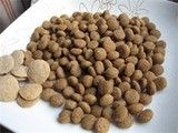 重庆猫粮出售 重庆宠物食品与用品服务超实惠
