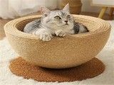 重庆宠物猫服饰 宠物食品与用品 重庆较齐全
