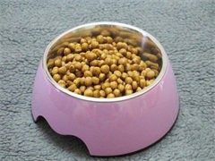 全新猫粮价格面议