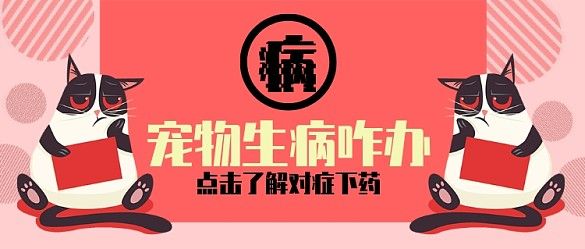 红色医疗健康宠物病了怎么办首图