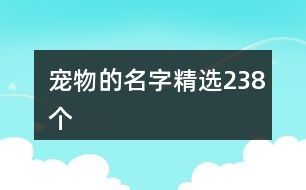 宠物的名字精选238个