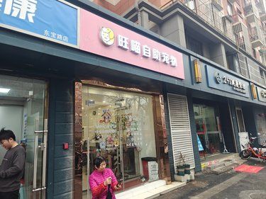 自助宠物洗澡的体验太棒了