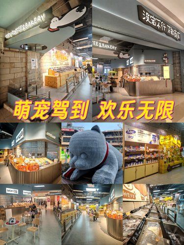 毛孩子的专属快乐天地，没宠不行.万能商店
