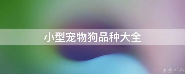 小型宠物狗品种大全(适合家庭养宠的小型狗狗推荐)