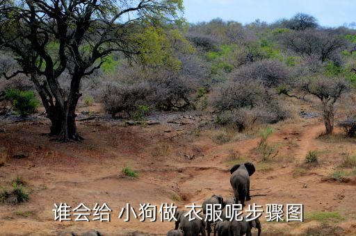 谁会给 小狗做 衣服呢步骤图