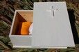 常德宠物火化电话,常德宠物火化价格,3分钟前更新