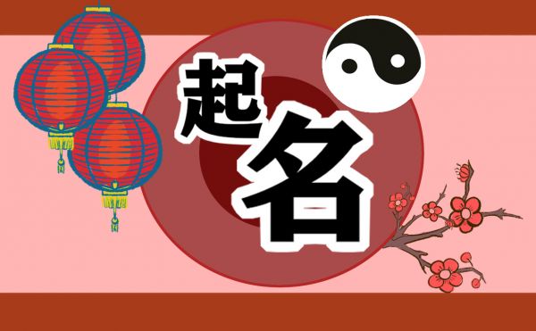 宠物猫起名招财可爱