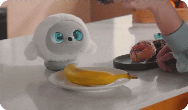 food_rec
