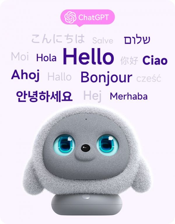 language