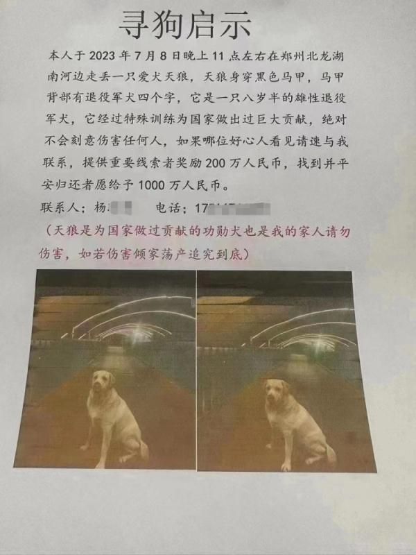 有人悬赏1000万找狗？郑州流浪动物领养中心：已找到