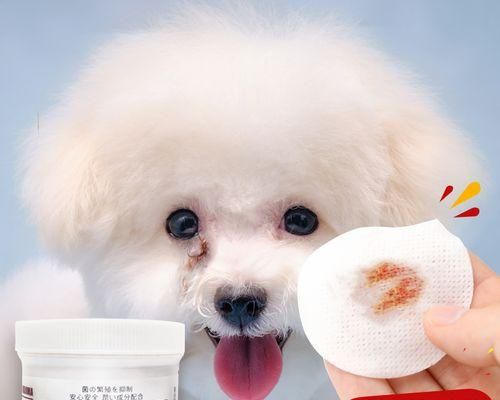 狗狗泪痕严重怎么治疗？有效的方法和预防措施是什么？