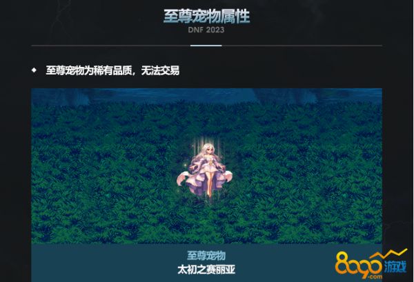 dnf三觉顿悟之境至尊宠物外观