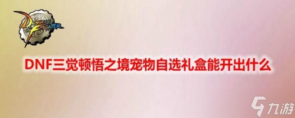 DNF三觉顿悟之境宠物自选礼盒能开出什么