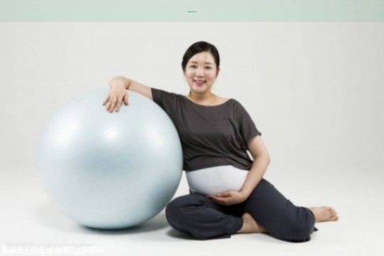 〖佑财羊奶粉评测：品质卓越，助力宠物健康成长的最佳选择〗