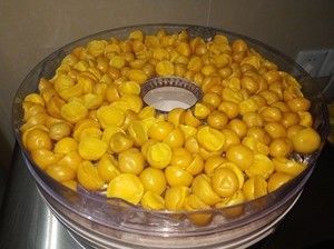 宠物零食——蛋黄粉的做法步骤 第3步