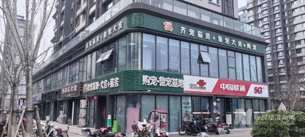 宠物机构遍地开花 图片来源:每经记者 彭斐 摄
