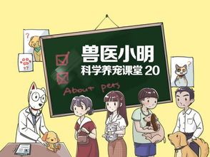 科学配比,咨询兽医更可靠