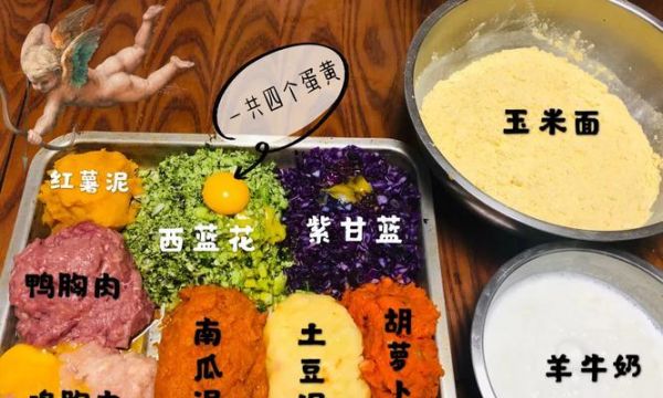 给狗狗掺玉米面粉的比例是多少？