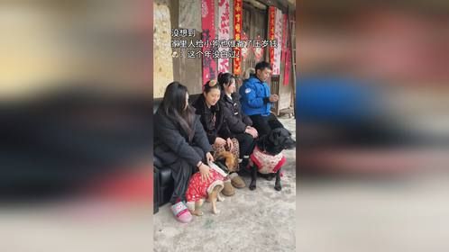 没想到小狗的压岁钱比我都多