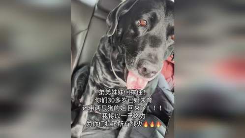 弟弟妹妹们撑住，姐回来了！