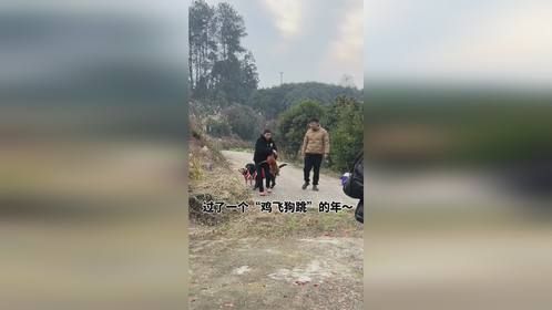 新年开局就是暴击！