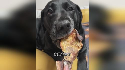 一口肉一口骨头！