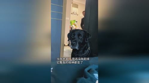 感觉它骂我了！