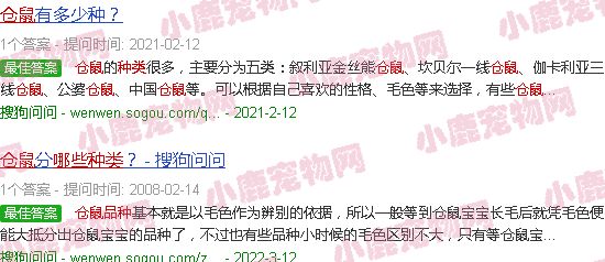 仓鼠种类有哪些