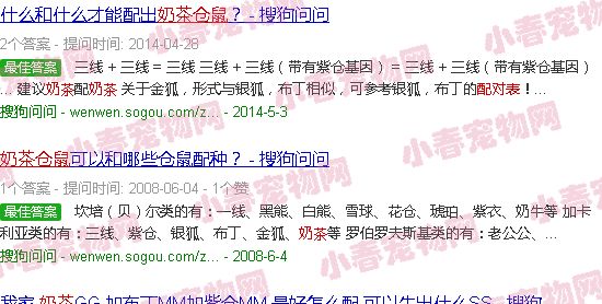 奶茶仓鼠配对表